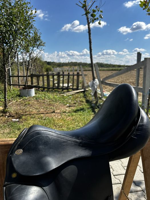 Sa dresaj Prestige Appaloosa