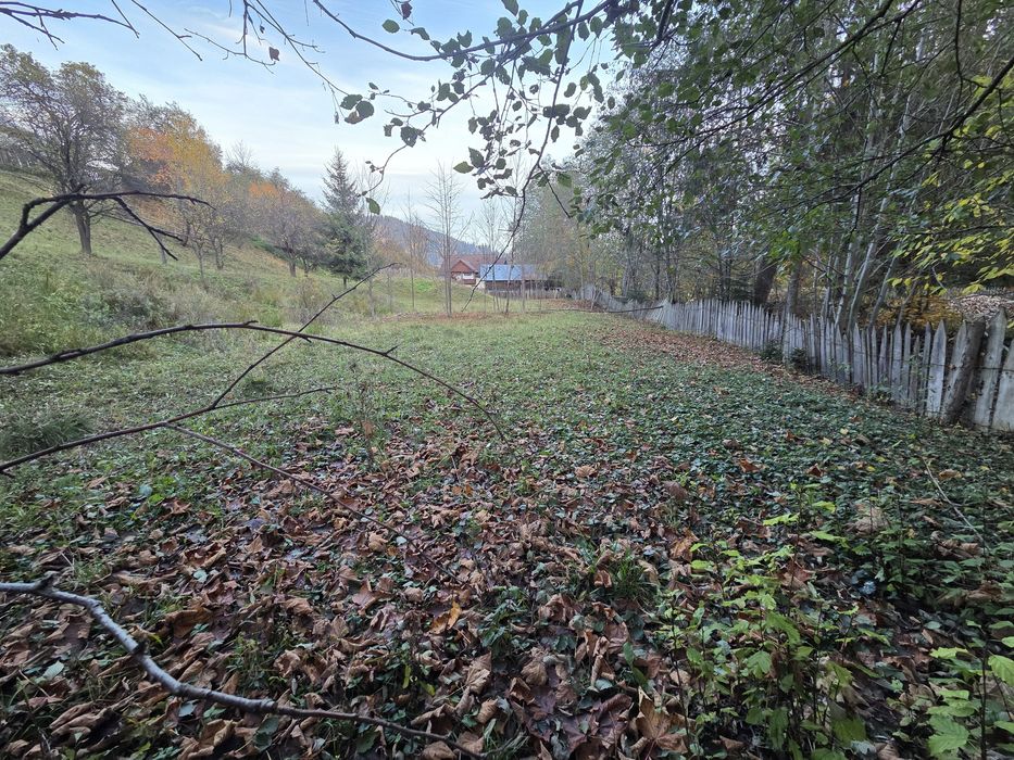 Teren intravilan