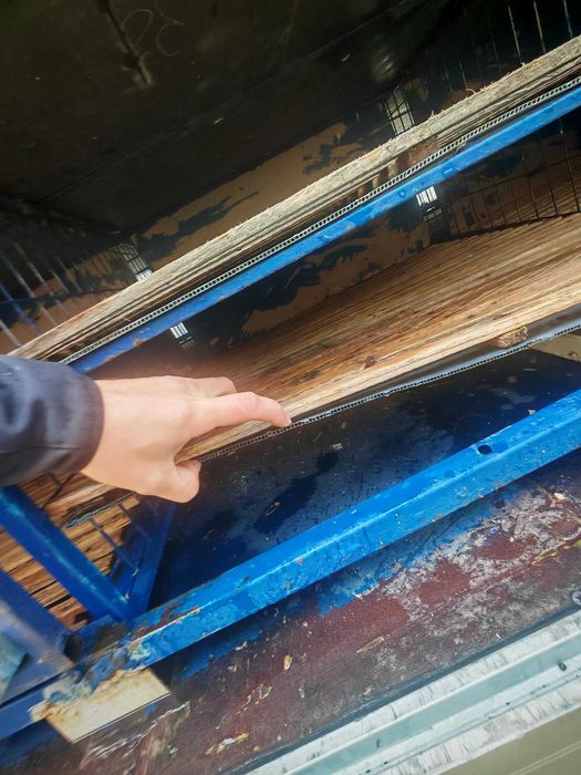 Autoutilitara de transport porumbei - doar Container , cusca porumbei