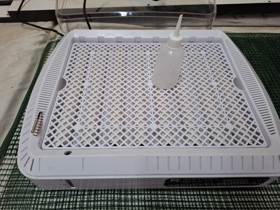 Incubator full automat