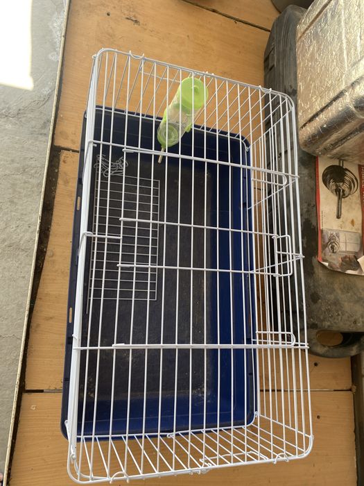 Клетка для животных