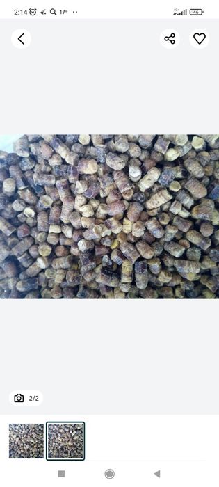 Прополис, природный антибиотик.