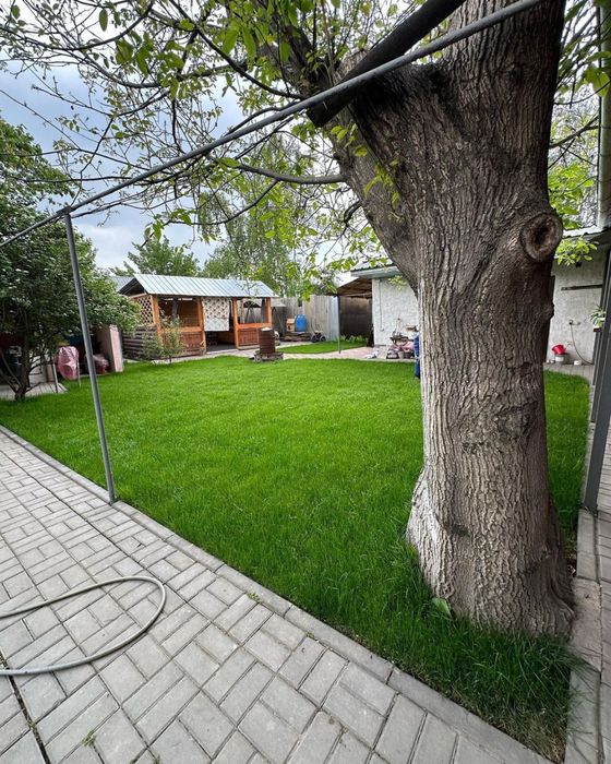 Рулонный газон под ключ