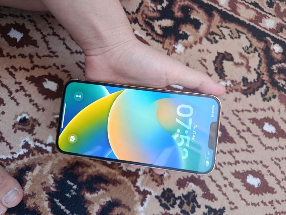 Iphone 13 pro max