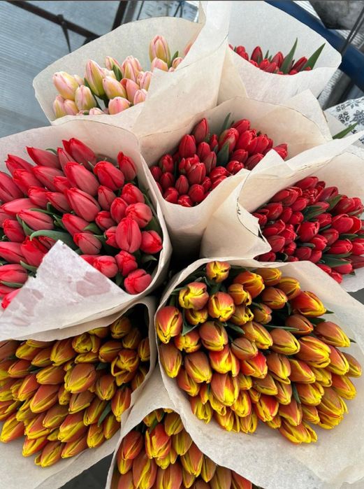 Тюльпаны оптом и в розницу