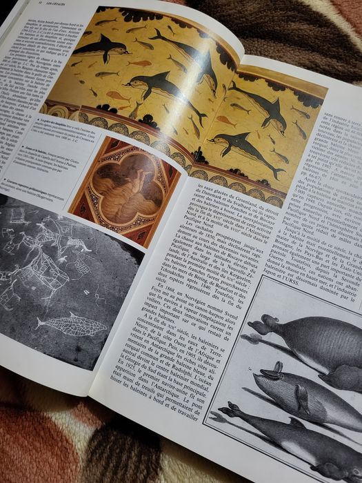 Carte ilustrată Les Mammifères Marins – 1986, France Loisirs