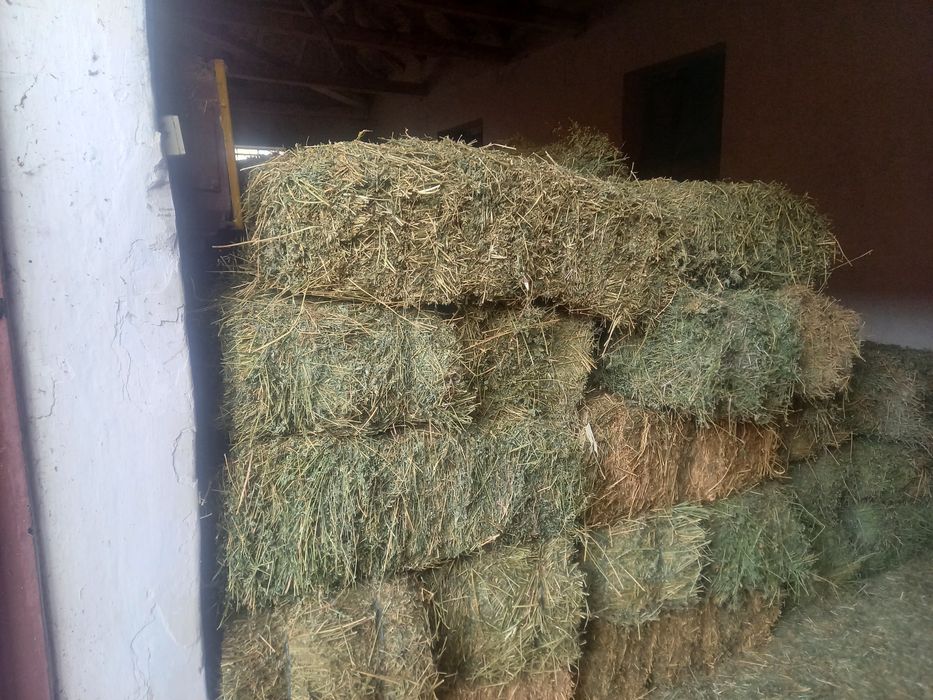 Vand baloti de lucerca