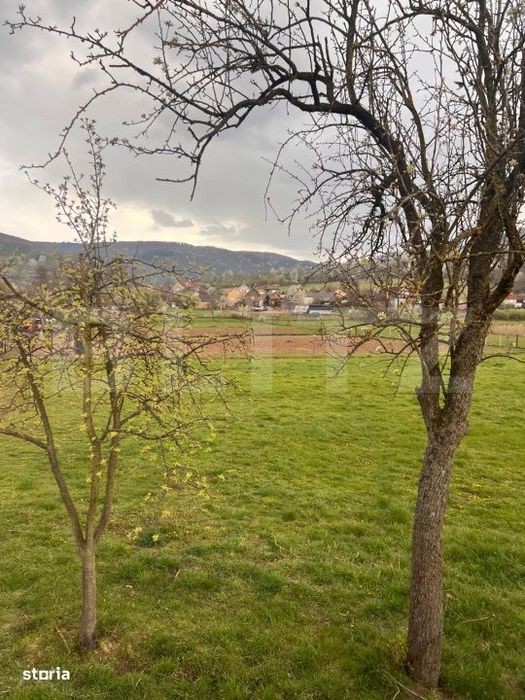 Teren de vanzare 1200 mp – Șuncuius, zona cabane – ideal casa de
