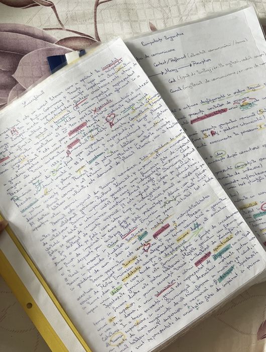 Portofoliu materie pentru Bacalaureat limba română