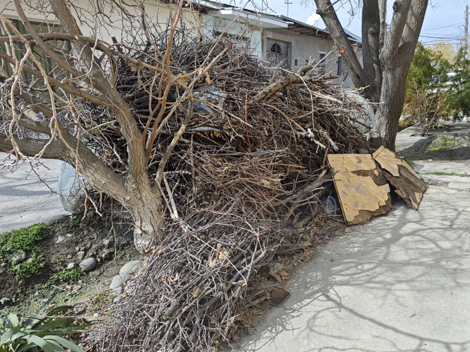 Продаются Дрова.