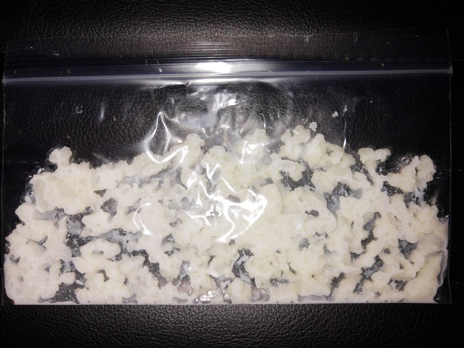 Donez granule (ciuperca) de chefir (kefir) prin posta