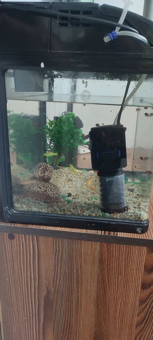 Аквариум 30л аквариум для рыбок