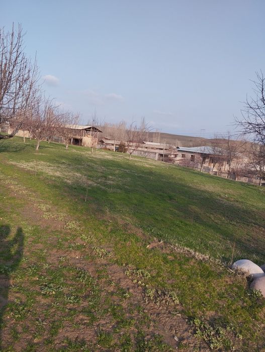 Тошкент вилояти Юкори Чирчик тумани Кавардон кишлоги Хамжихат кучаси