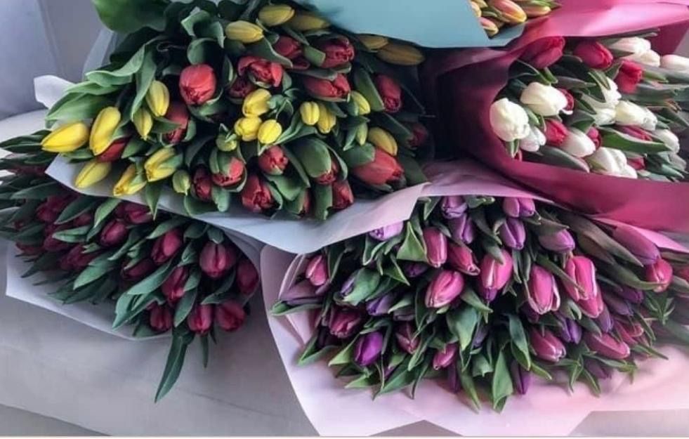 Тюльпаны опт/розница