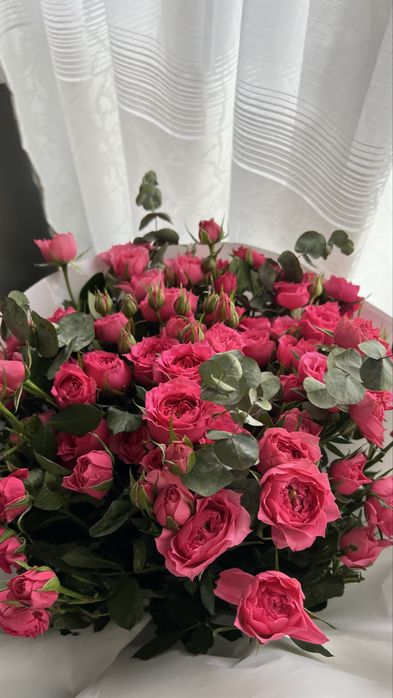 кустовые розы,торг есть!