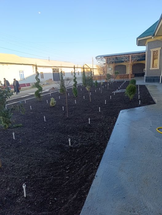 Ruloniy gazon ekish