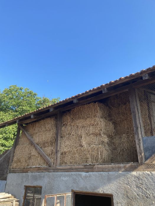 Baloți de lucernă curată