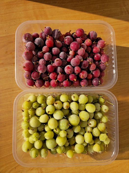 Замороженные ягоды