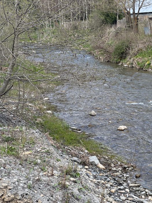Camping Valea stanii
