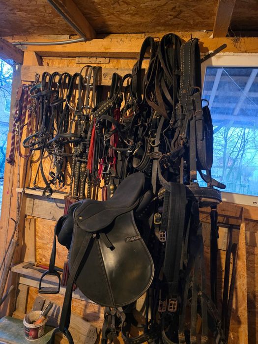 Șa pentru echitatie