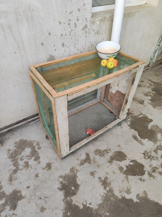 Universal. KATAKLAR. Xar-xil oʻlcham. ++