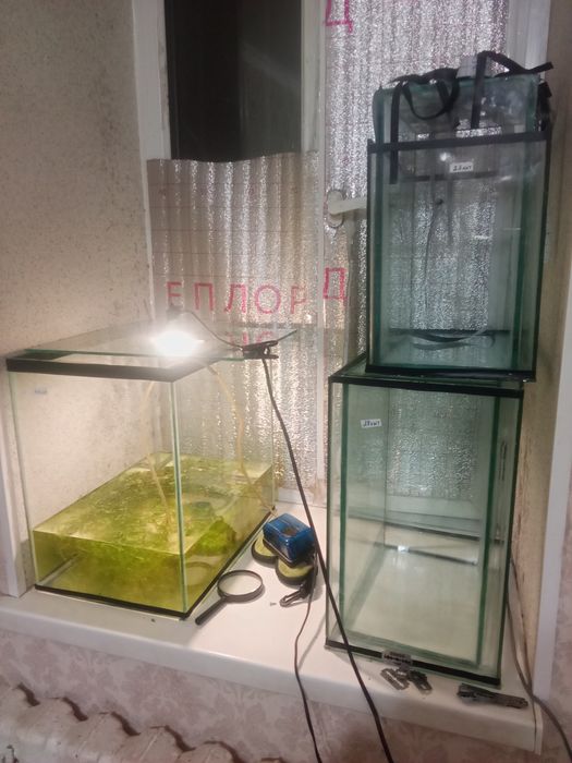 Аквариумы,рыбки,растения