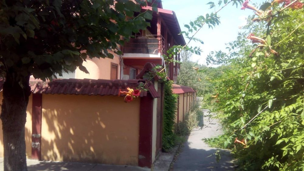 Garsonieră și curte Trivale (reducere)