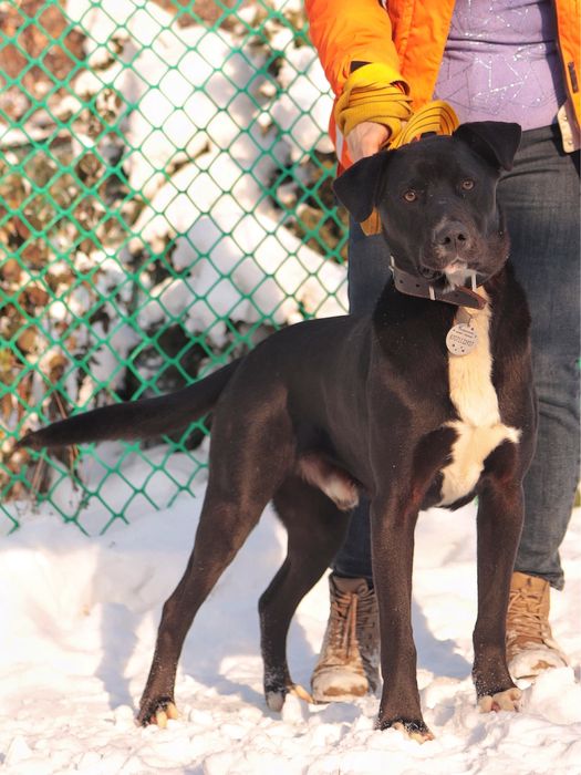 Робинзон в заботливые руки.