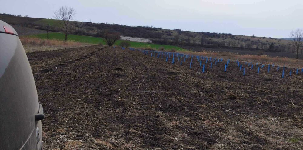 Създаване, поддържане и консултране на овощни градни област Шумен