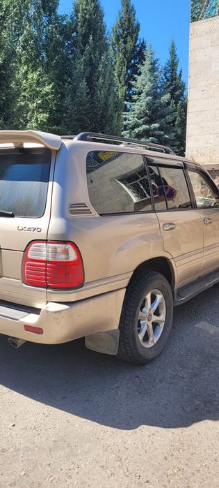 Продам в хорошие руки.