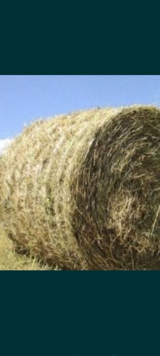 Продам сено солому