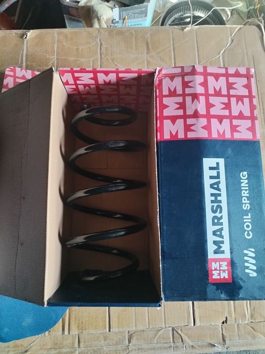 Стойки, пружины передние