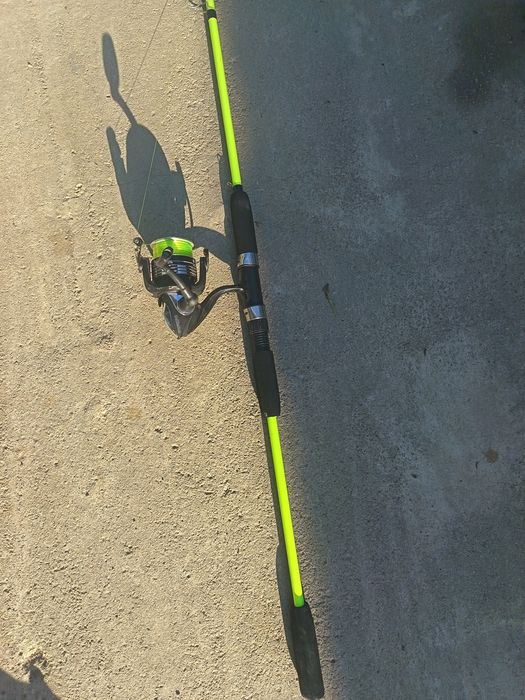 Lanseta fibra plina