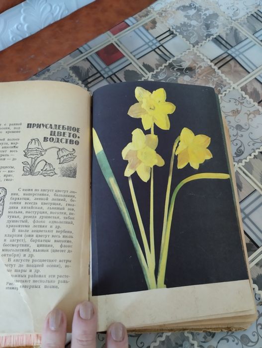 Книга советская 750 страниц