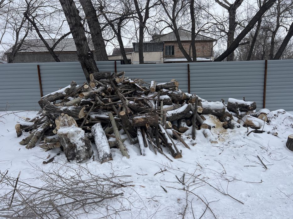 Дарю дрова! Самовывоз! Ключевая