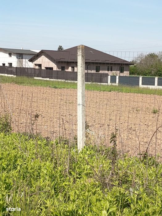 Vanzare teren 4000 mp Ulmi- Dambovita
