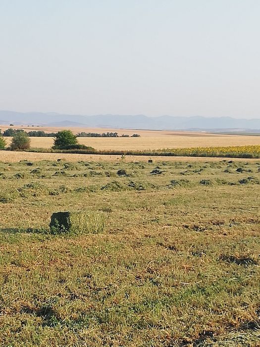 Продавам малки люцернени бали