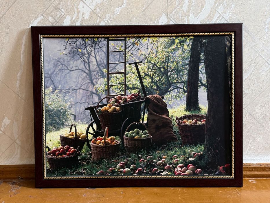 Картинка с рамкой 66/51см