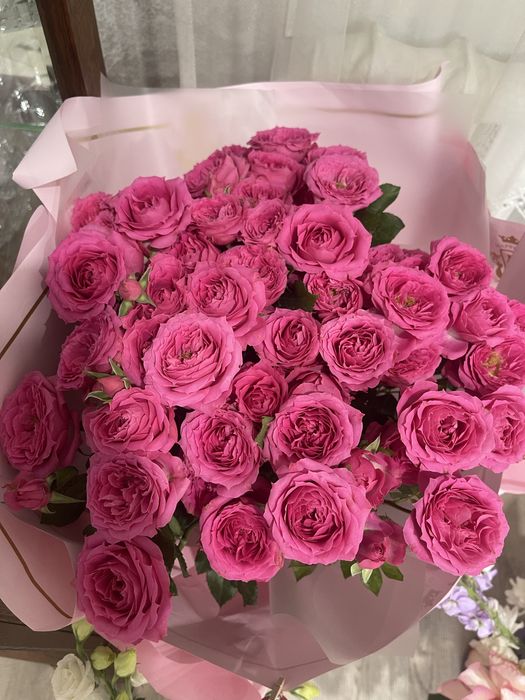 Продам цветы пионовидные розы