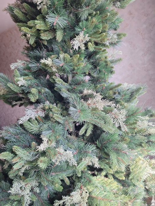 Елха  коледна 2,50м.