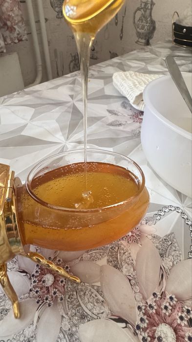 Продается Лепсинский мёд