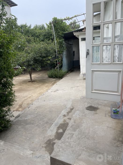 Xovli sotiladi fayizli uy 3,5 sotix