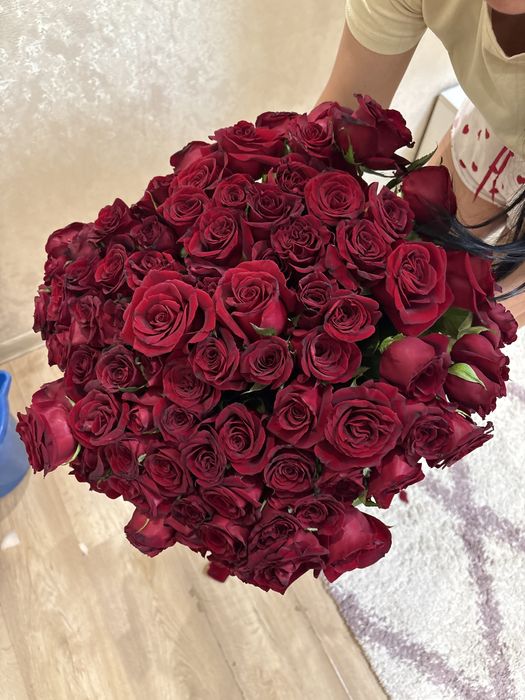 81шт роза свежый бугын келген