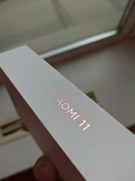 Xiaomi Mi 11 (плата куйган)