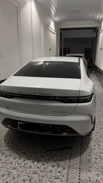 BYD Chazor 2024