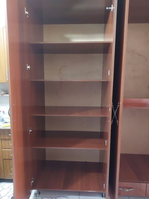 Шивонер в хорошем состоянии