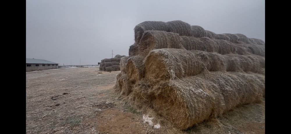 Сено шөп рулон пресс