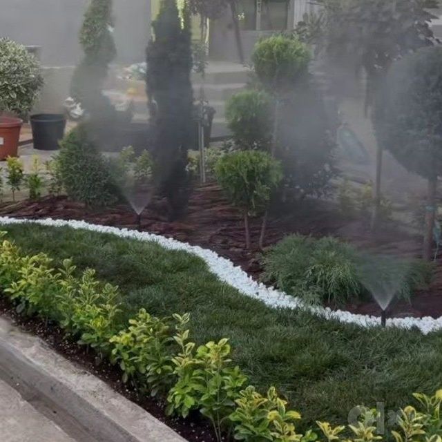 Gazon ekamiz kelishilgan narxda bogingizga kerakliy parvarish qilamiz