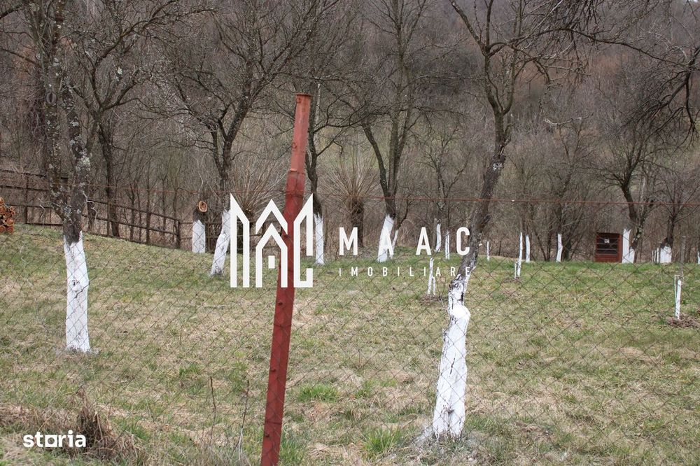 Pământ I Fereastră către Eternitate în  Transilvania