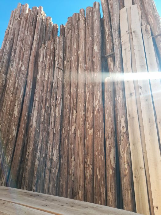 Terak mahsulotlari optim